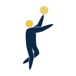 Volleyball - Male | Strike | 2 Colored | v2