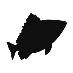 Red Snapper - Both | Classic | Silhouette | v4
