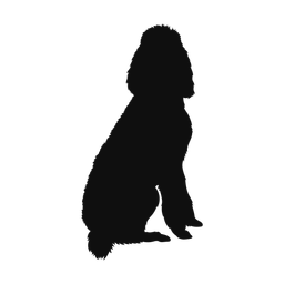 Poodle - Both | Classic | Silhouette | v4