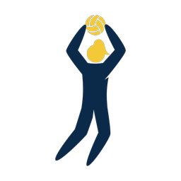 Volleyball - Female | Strike | 2 Colored | v4