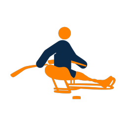 Para Ice Hockey - Male | Round | 2 Colored | v1