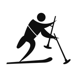Para Downhill Skiing - Male | Motion | Silhouette | v1
