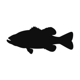 Largemouth Bass - Both | Classic | Silhouette | v2