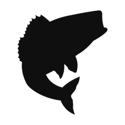 Striped Bass - Both | Classic | Silhouette | v5