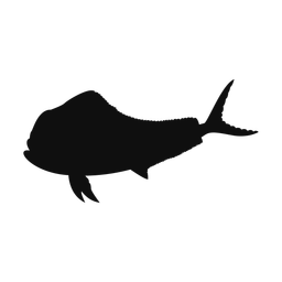Mahi Mahi - Both | Classic | Silhouette | v3