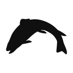 Brook Trout - Both | Classic | Silhouette | v5