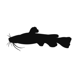 Cat Fish - Both | Classic | Silhouette | v2