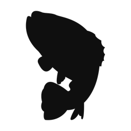 Grouper - Both | Classic | Silhouette | v1