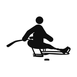 Para Ice Hockey - Male | Round | Silhouette | v1