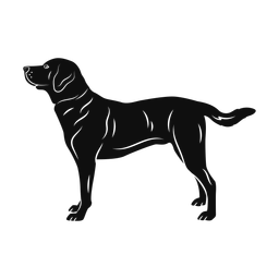 Labrador Retriever - Both | Promax | Silhouette | v2
