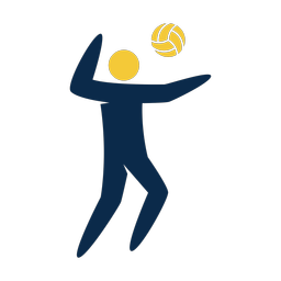 Volleyball - Male | Strike | 2 Colored | v3