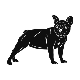 French Bulldog - Both | Promax | Silhouette | v2